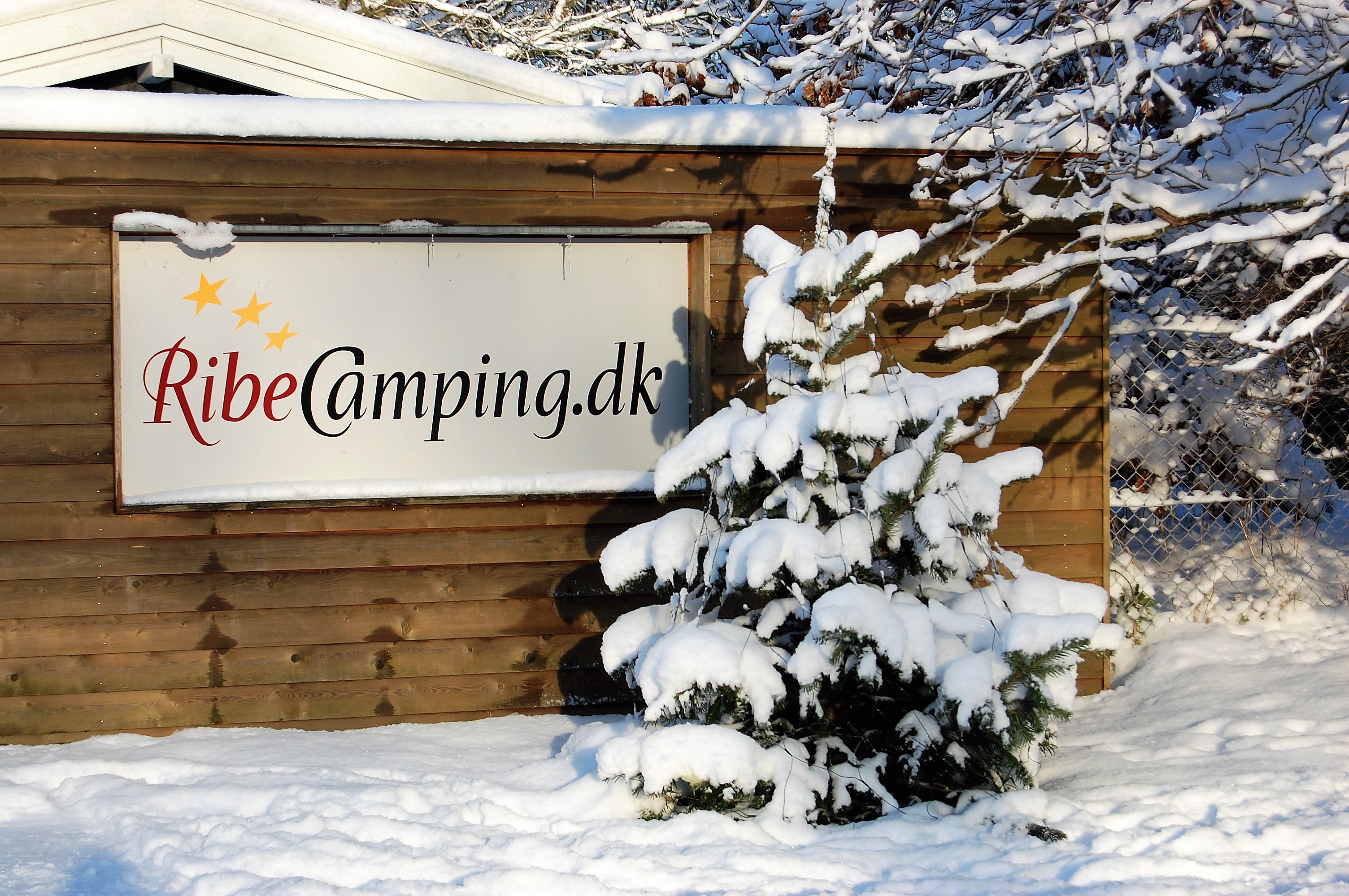 Juletur til Ribe og Ribe Camping Del 1 Campingferie.dk