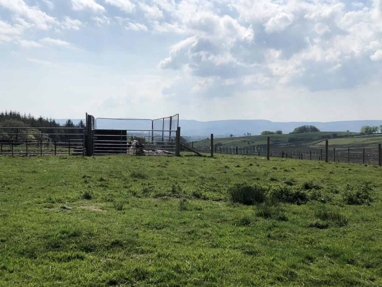 Ffynnonwen Farm Wild Camping Camping Places