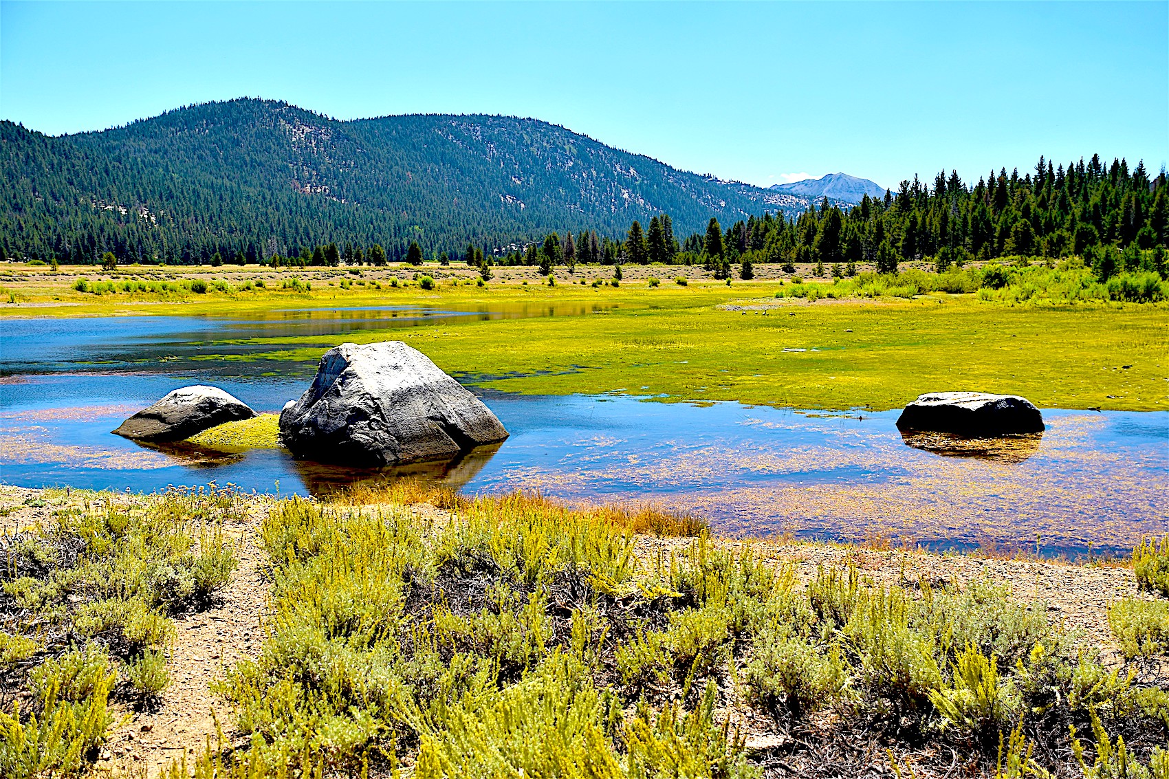 Meadow restoration closes some Blue Lakes camping Camping Your Way