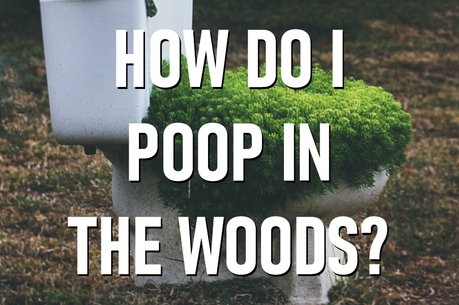 How Do I Poop In The Woods? Camp Insiders