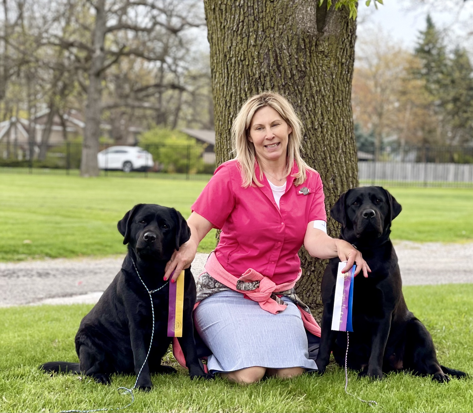 About Us Camp K9 Pet Resort and Spa, Inc.