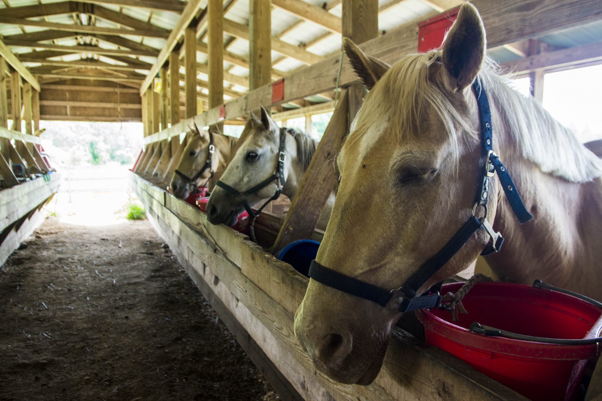Ride On! YMCA Camp Mason
