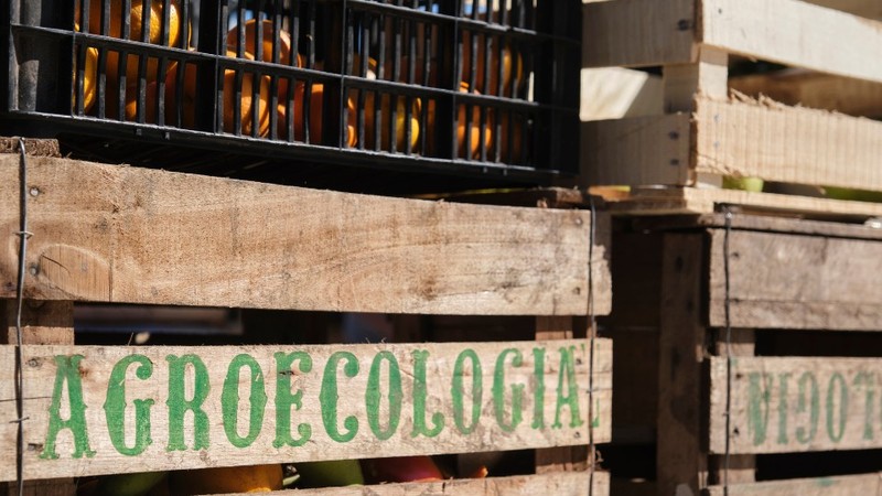 Agroecologia