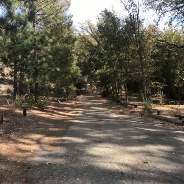 Davy Brown Campground Camp One Parks Management Get Outdoors