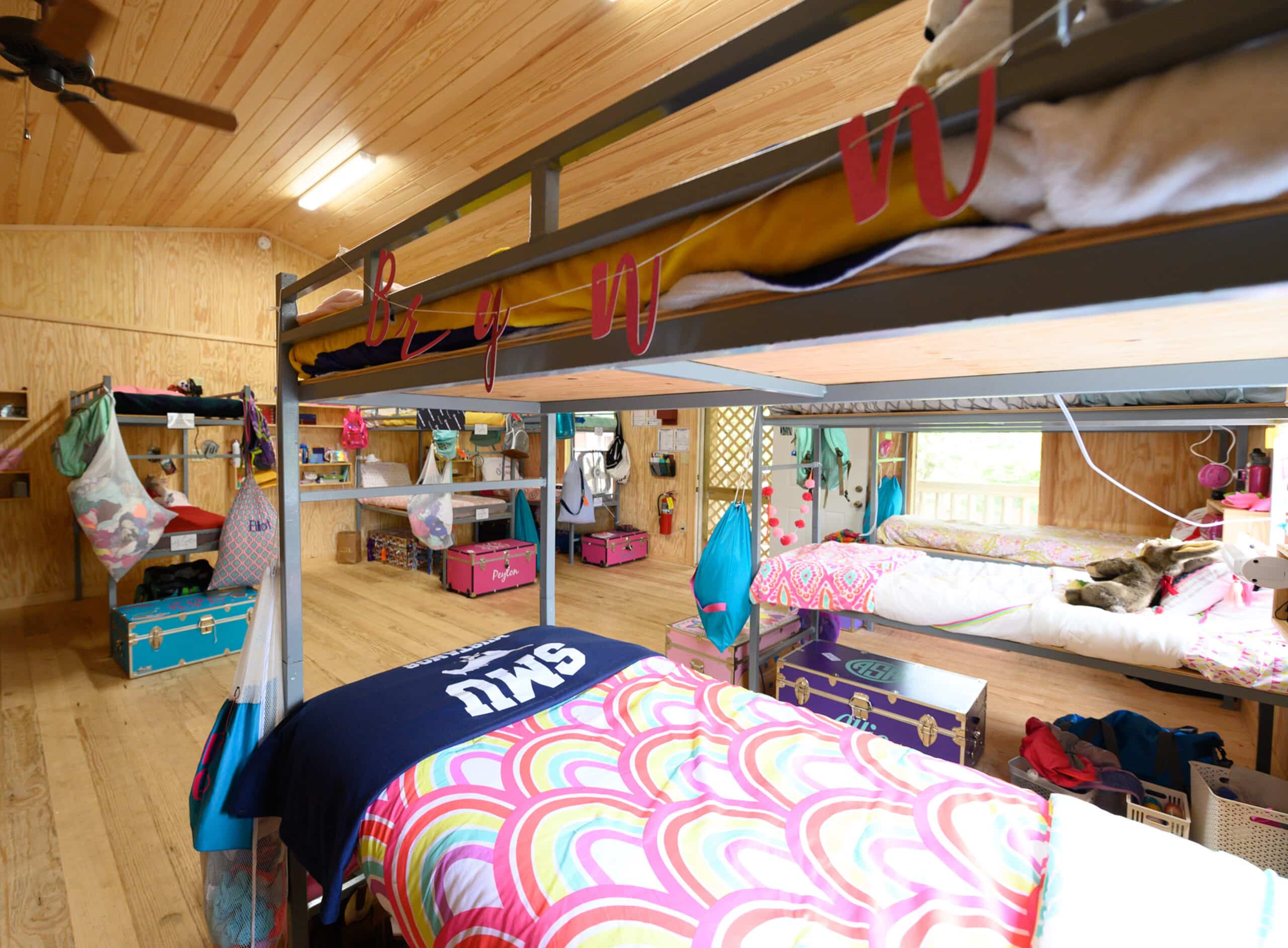 WHAT'S NEW » CAMP OZARK