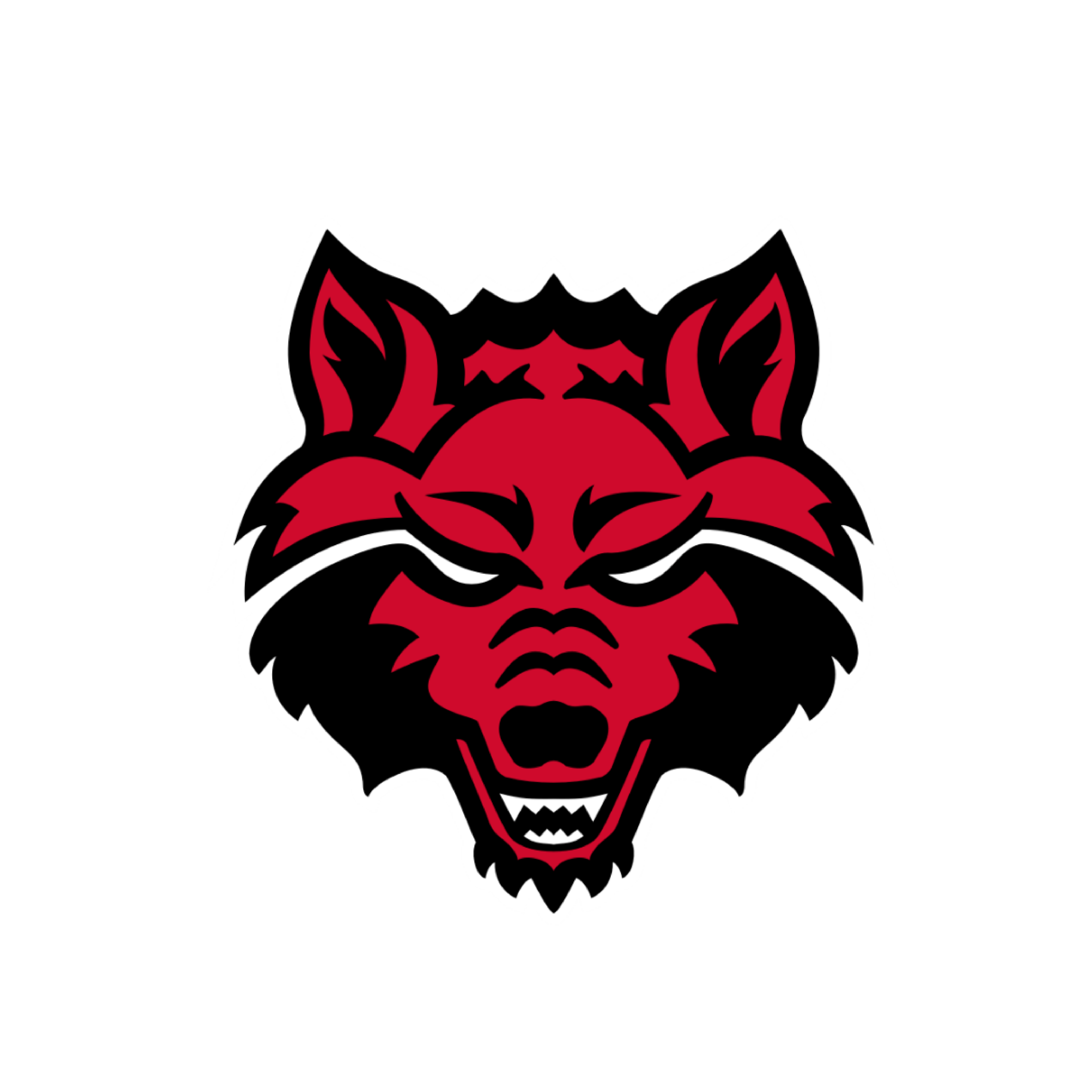 Arkansas State University » CAMP OZARK