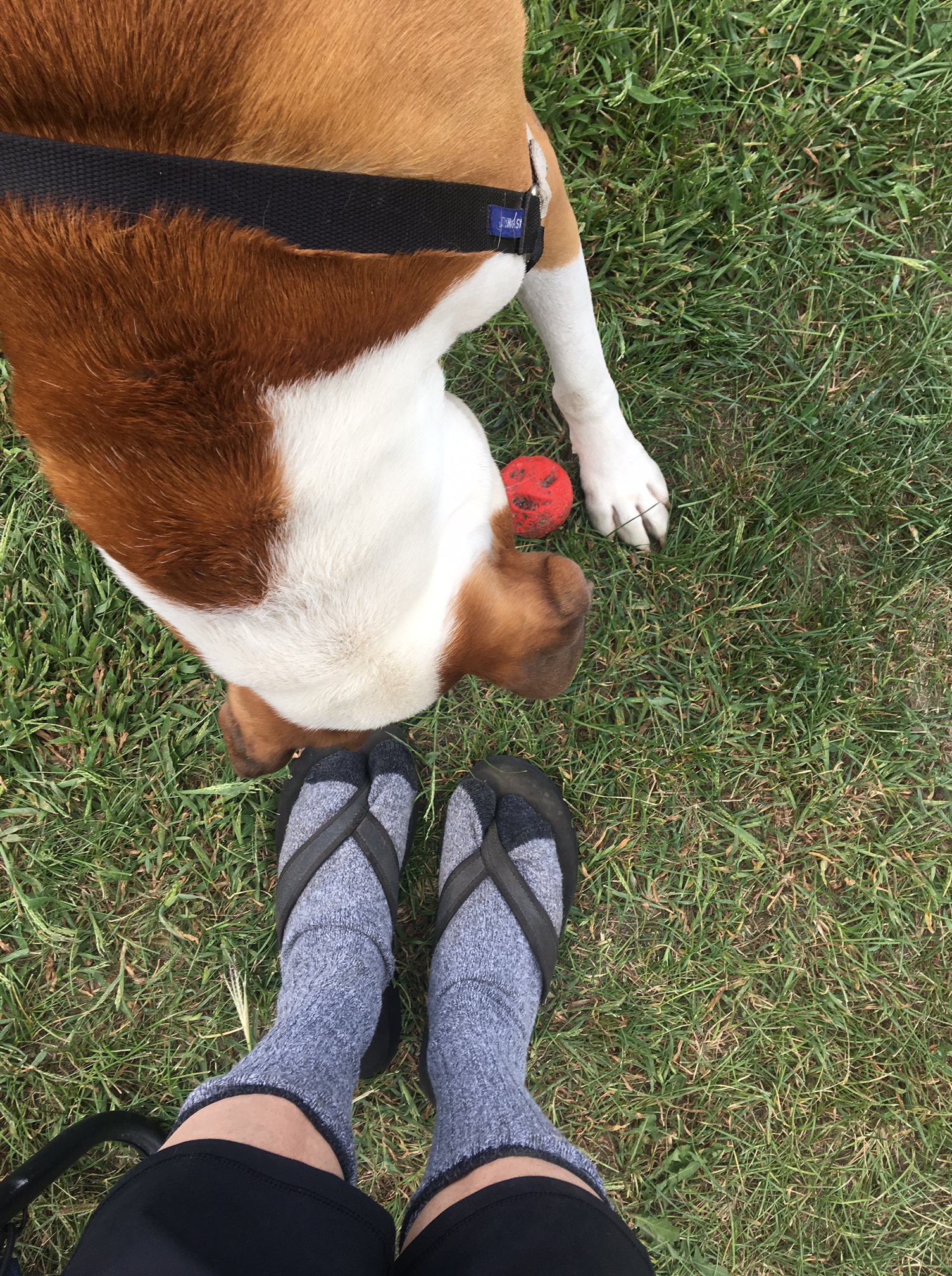 Camp 6 New Frontier Campground, Presho, SD Site9 I think Camp Pack