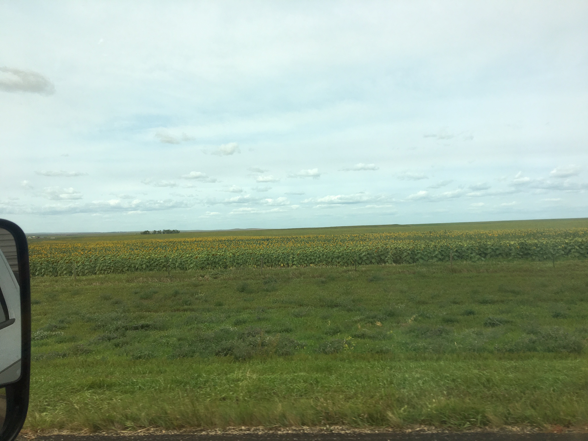 Camp 6 New Frontier Campground, Presho, SD Site9 I think Camp Pack