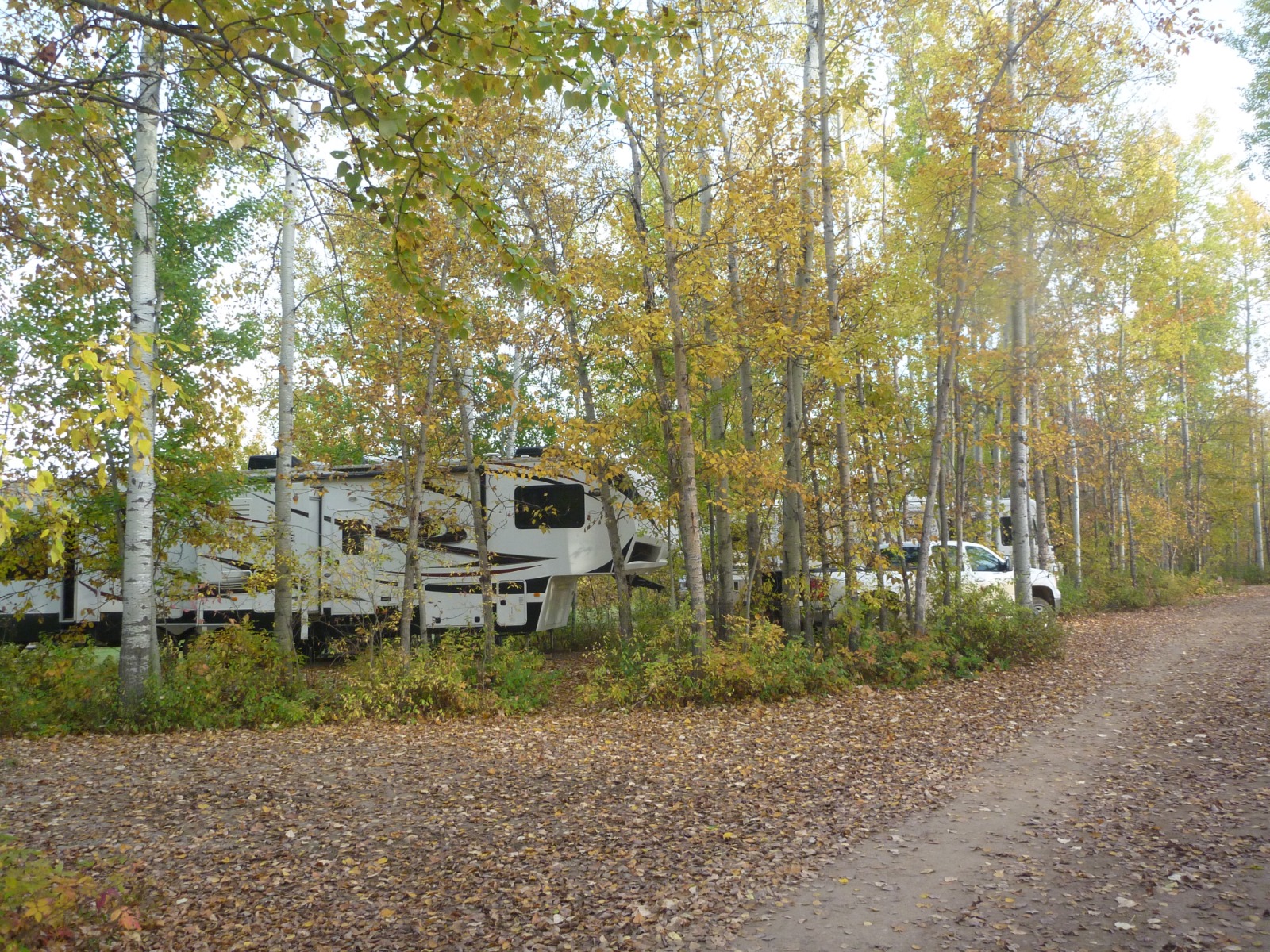 Book Aspen Ridge Campground in High Level, ALBERTA Online