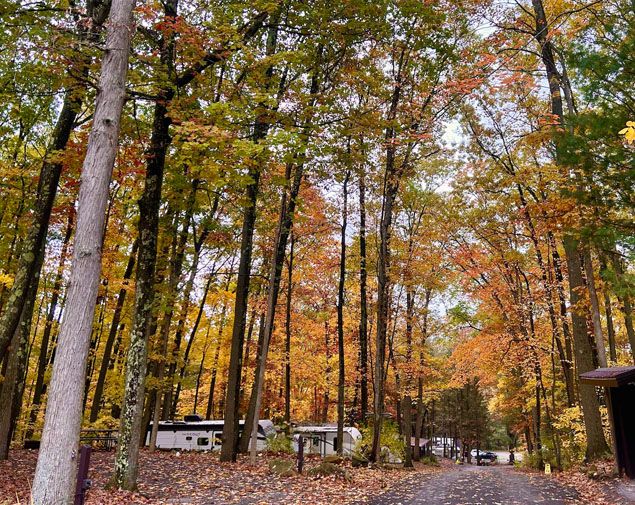 Rustic Acres RV Resort & Campground Year Round / Longer Stays