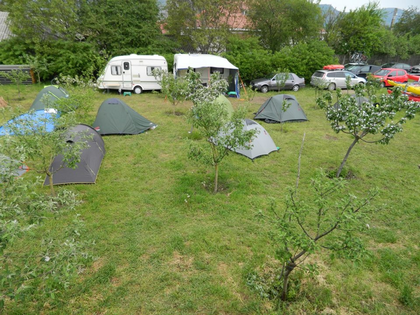 Turtle Camp