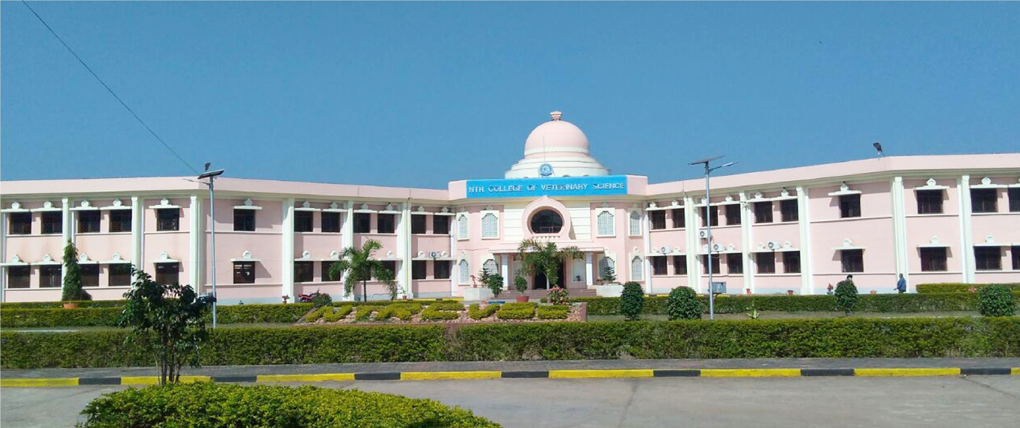 The Best Colleges in Tamilnadu Campus Live Educational Services