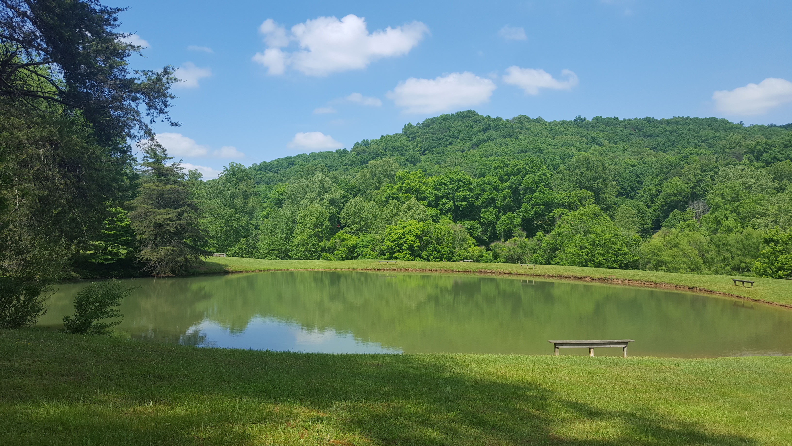 Camp Virgil Tate It&#039,s Always A Wonderful Day At Camp Virgil Tate!