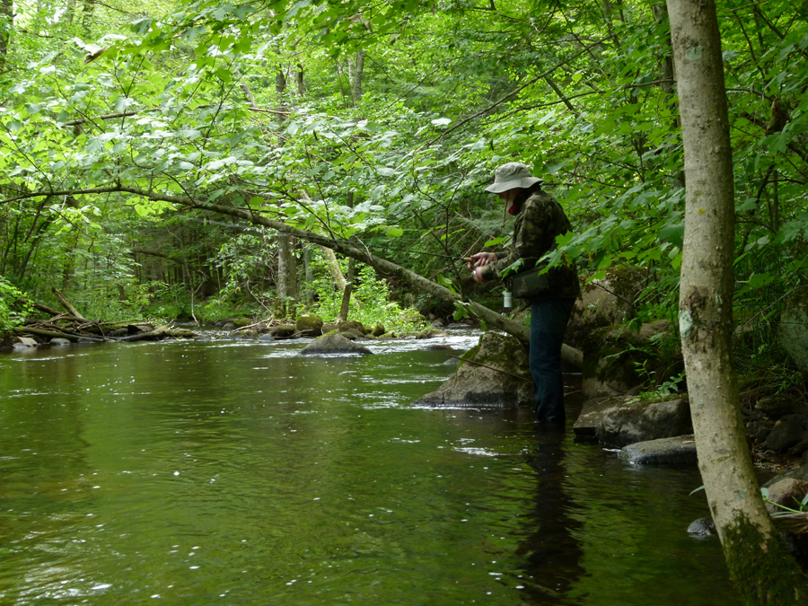 Trout fishing on the Upper Little Wolf River Camp Westfalia