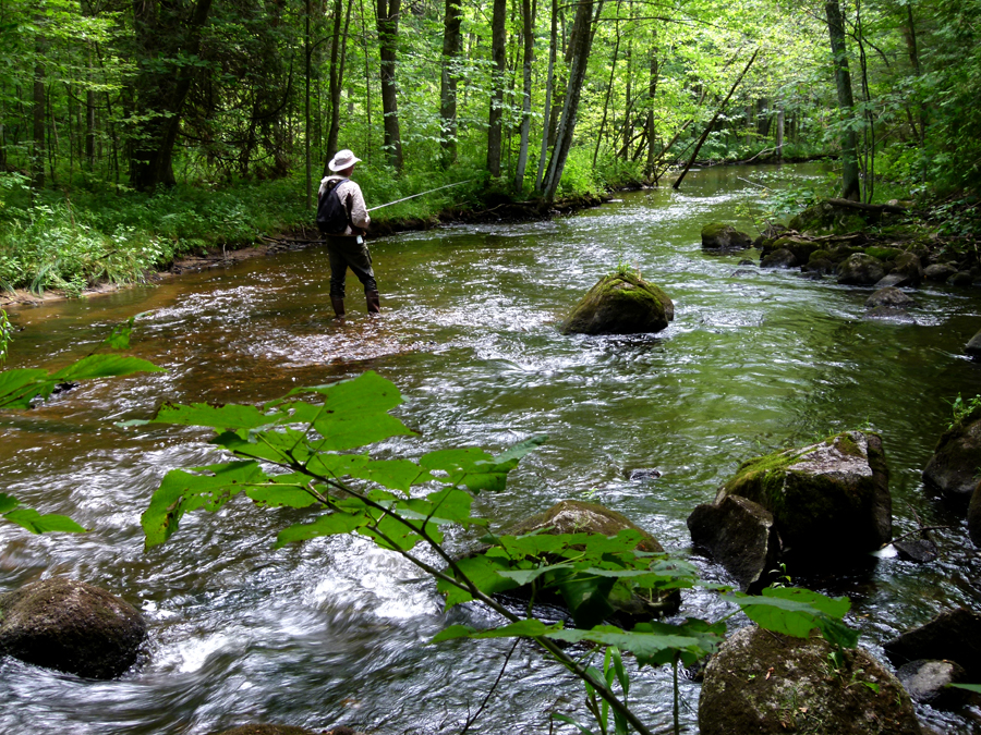 Trout fishing on the Upper Little Wolf River Camp Westfalia