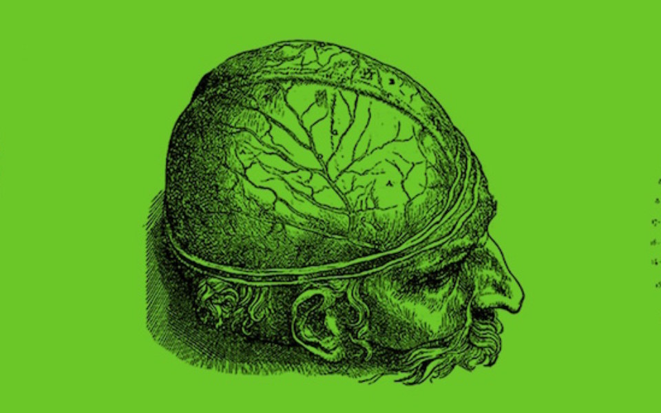 CAMRI Dr Musgrave CAMRI