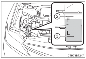 Toyota Camry Coolant (Updated January/2026)