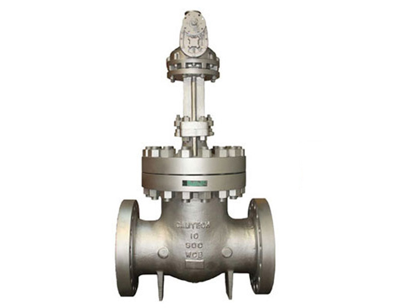 Bolted Flexible Wedge Valve
