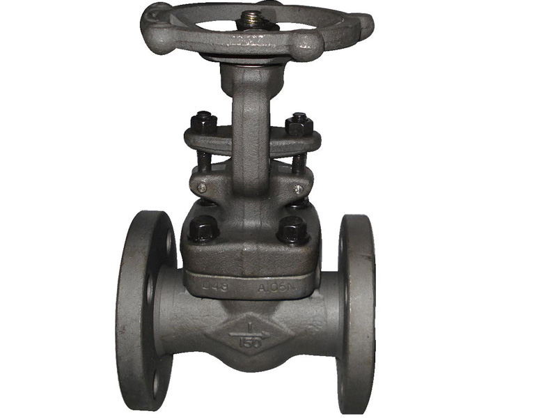Steel Gate Valve Camtech Manufacturing FZCO