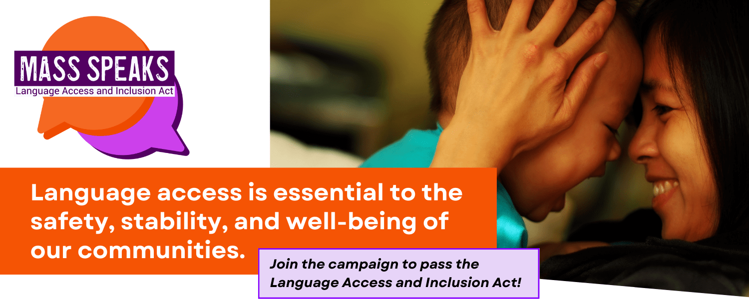 Campaign to Pass the Language Access and Inclusion Act Action Network