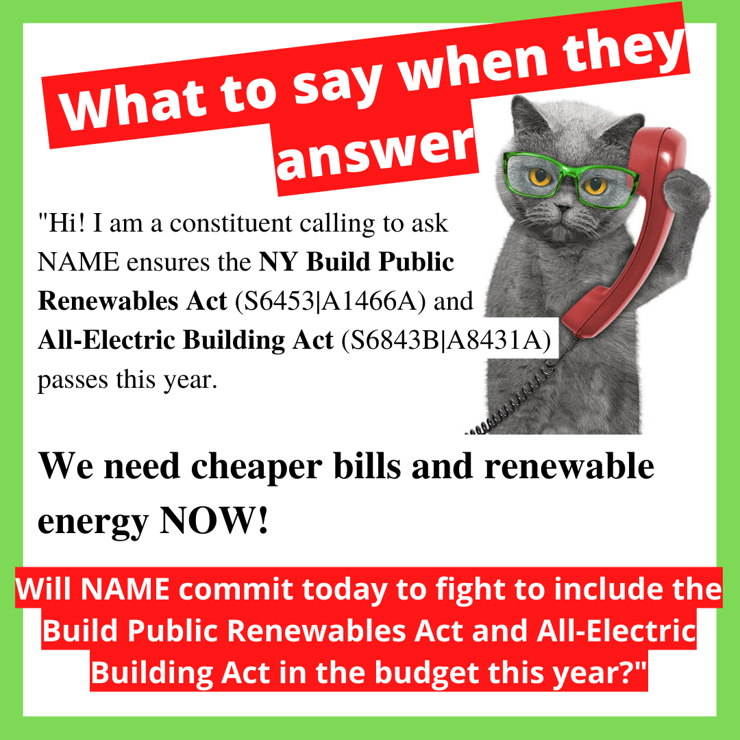 Take Action Engineered Cow Meat will be Sold Without