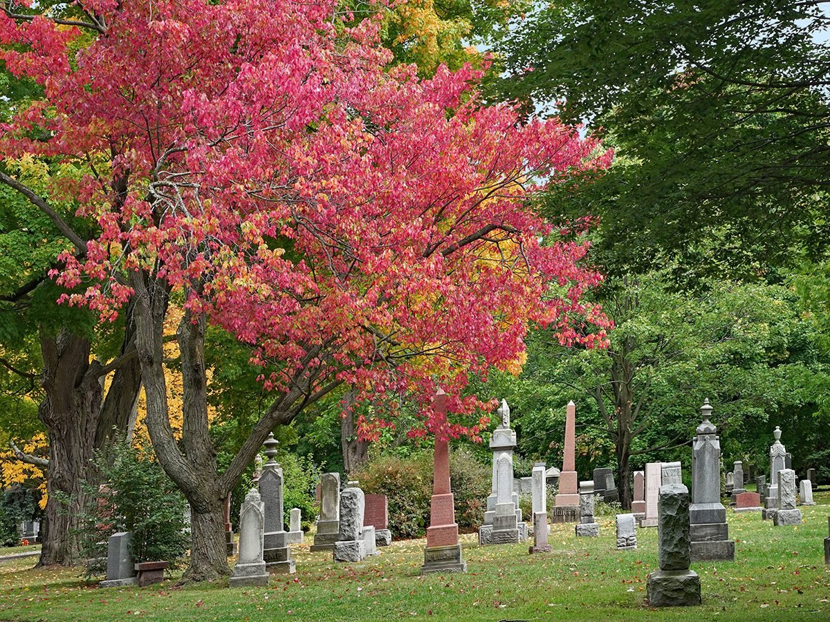 The Shaping & Structuring of Space Mount Pleasant Cemetery Canada