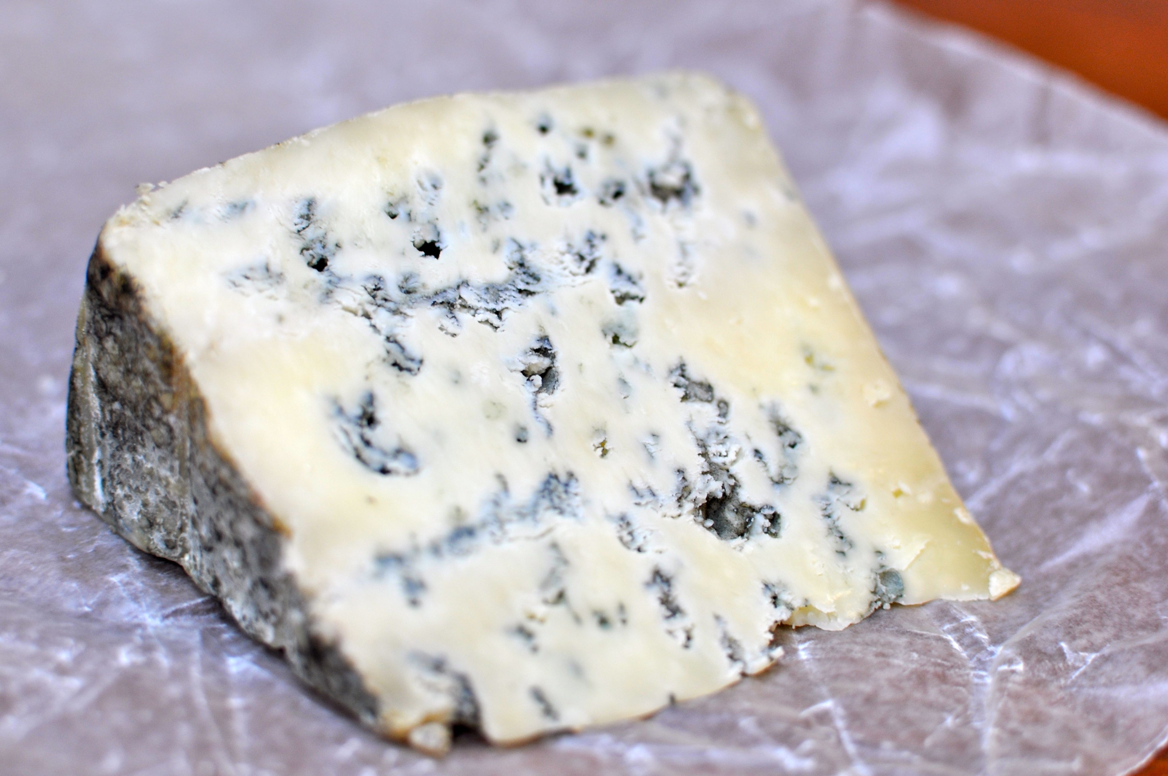 Penicillium roqueforti « The Canada Cheese Man