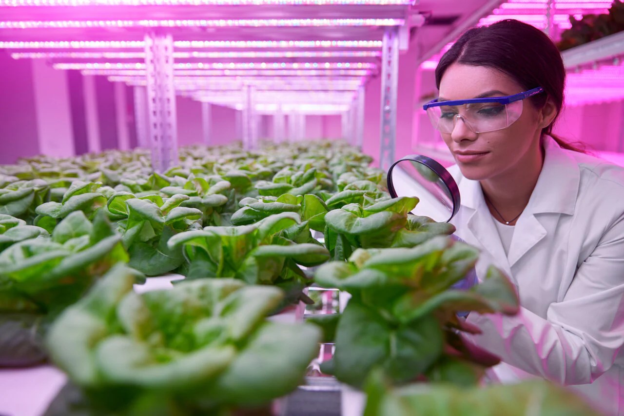 Do LED Grow Lights Work?