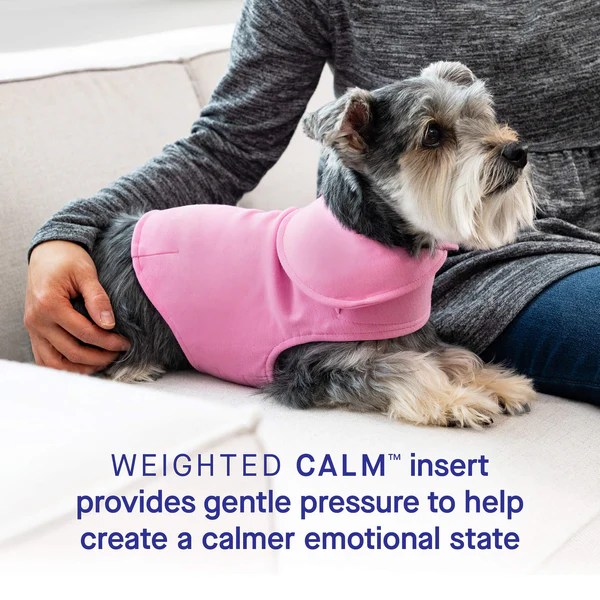 Calming Vest for Dogs Canada Pooch