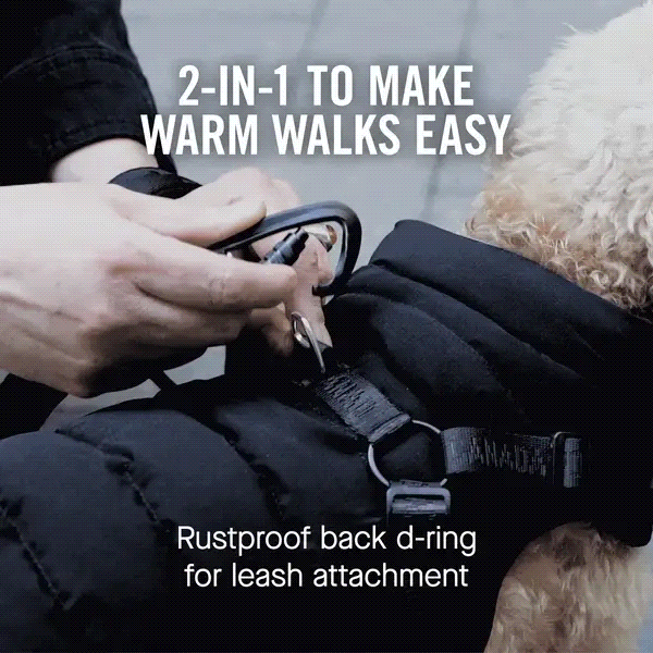 The Harness Puffer Dog Jacket with Harness Canada Pooch