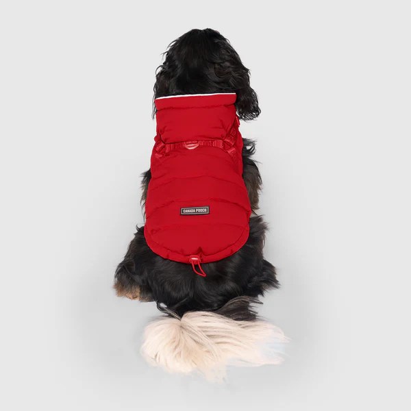 The Harness Puffer Dog Jacket with Harness Canada Pooch