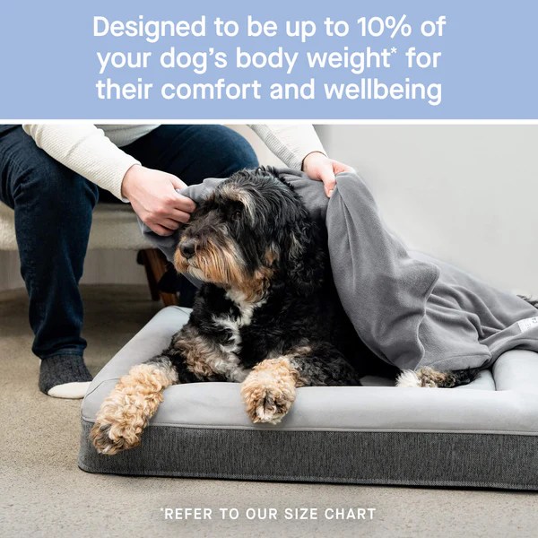 Weighted Blanket For Dogs Canada Pooch