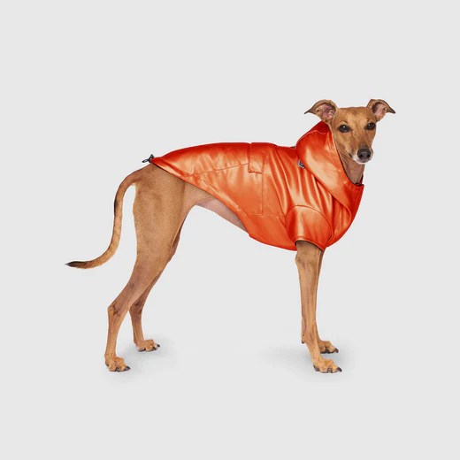 Cold Front Waterproof Dog & Puppy Raincoat Canada Pooch
