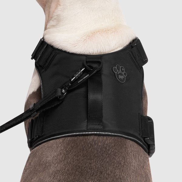 Complete Control Dog Harness for Pullers Canada Pooch