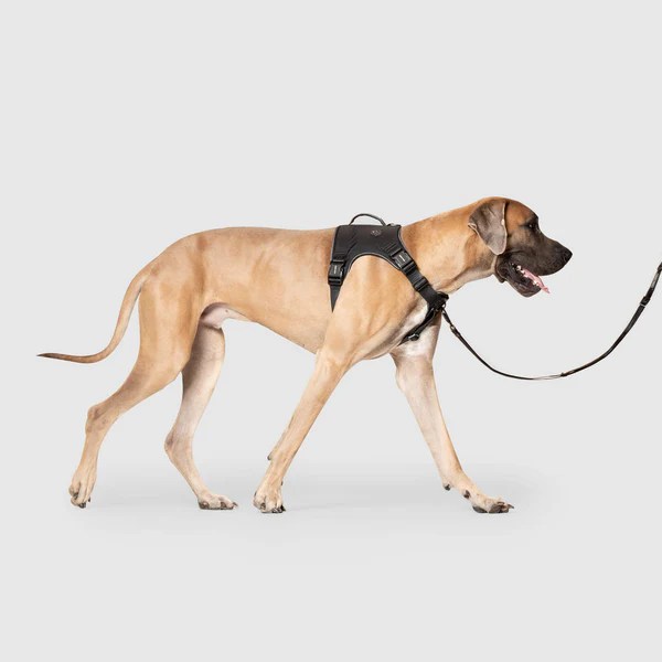 Complete Control Dog Harness for Pullers Canada Pooch