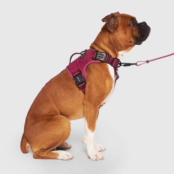 Complete Control Dog Harness for Pullers Canada Pooch