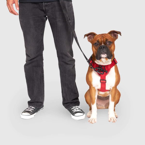 Complete Control Dog Harness for Pullers Canada Pooch