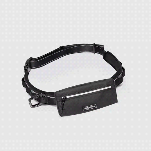 Utility HandsFree Dog Walking Belt Canada Pooch