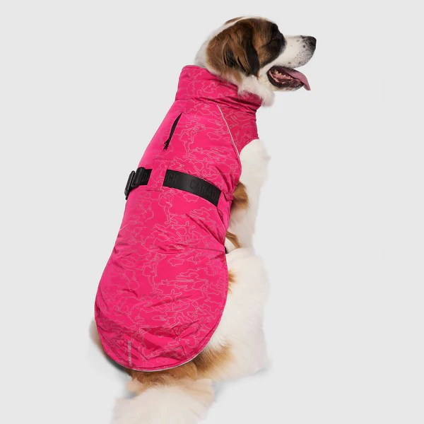 Expedition 2.0 Reflective Dog Coat Canada Pooch