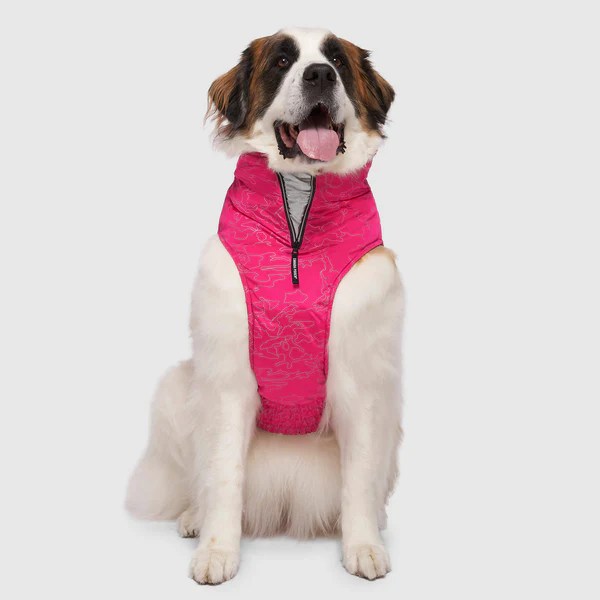 Expedition 2.0 Reflective Dog Coat Canada Pooch