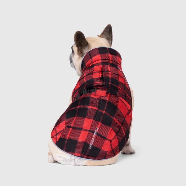 Expedition 2.0 Reflective Dog Coat Canada Pooch