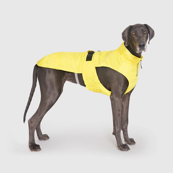 Grow With Me Dog Raincoat With Harness Opening Canada Pooch