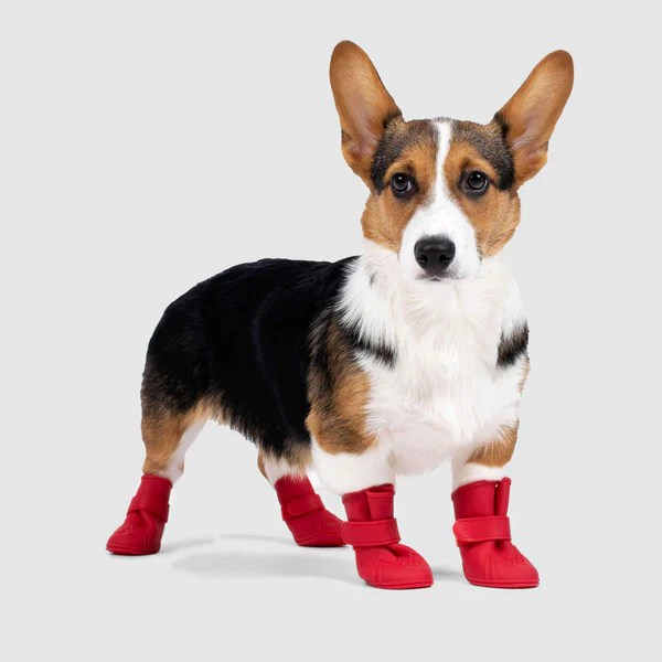 Lined Wellies Dog Winter Boots Canada Pooch