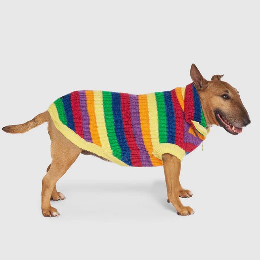 Over the Rainbow Dog Knit Sweater Canada Pooch