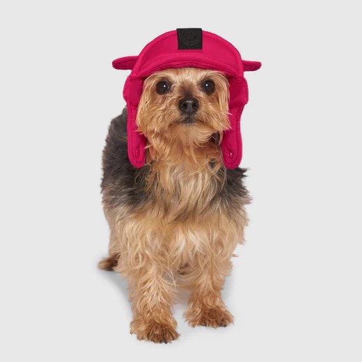 Stylish Puffer Dog Hat Canada Pooch