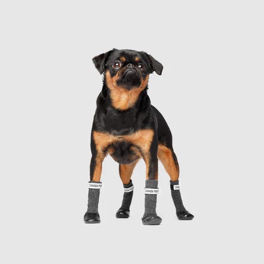 Secure Sock Boots Traction Booties for Dogs Canada Pooch