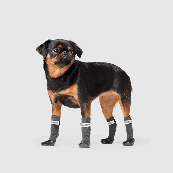 Secure Sock Boots Traction Booties for Dogs Canada Pooch