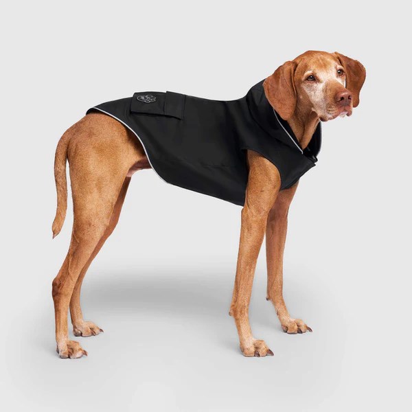 Torrential Tracker Cute Dog Raincoat Canada Pooch