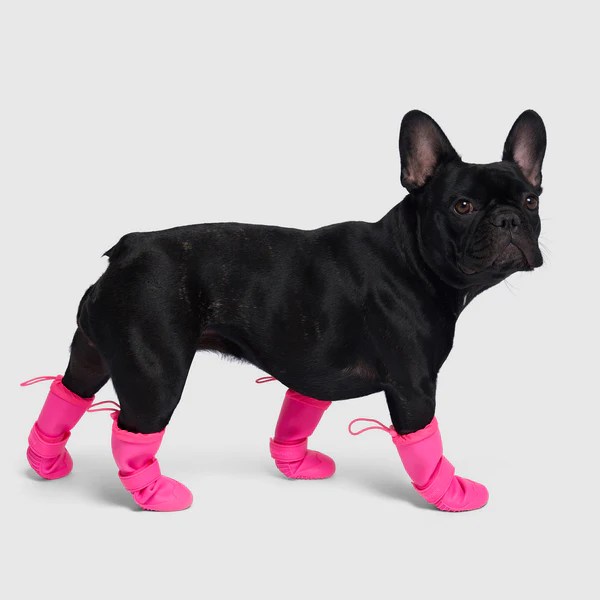 Waterproof Dog Shoes for Rain Canada Pooch