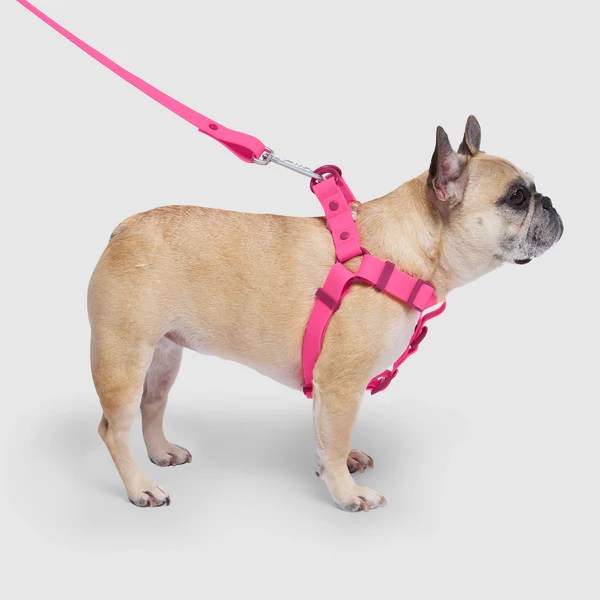 Waterproof Dog Harness Canada Pooch